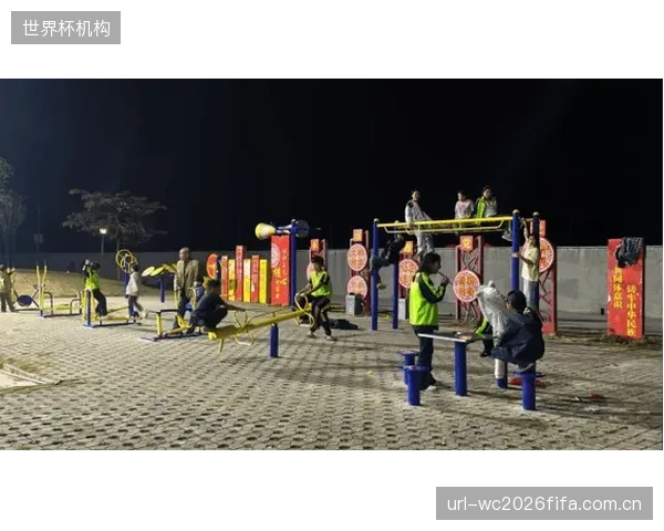 部分地区的惠民健身器材采购过分追求外观新颖,牺牲了产品的耐用性和人群普适性 部分地区的惠民健身器材采购过分追求外观新颖,牺牲了产品的耐用性和人群普适性